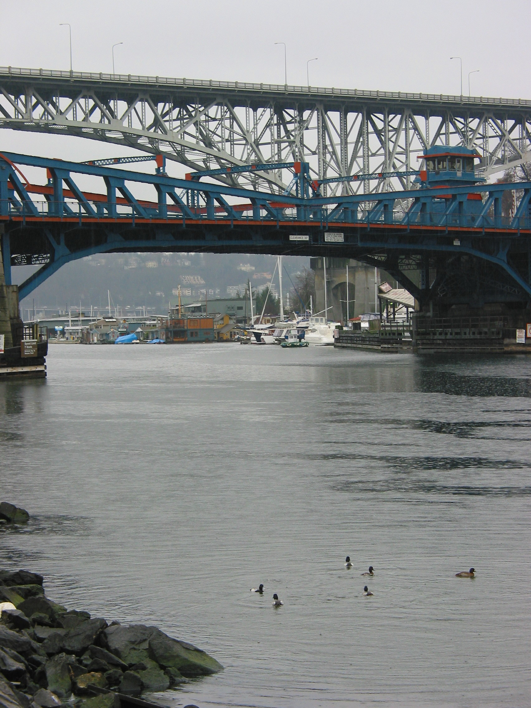 Fremont ducks