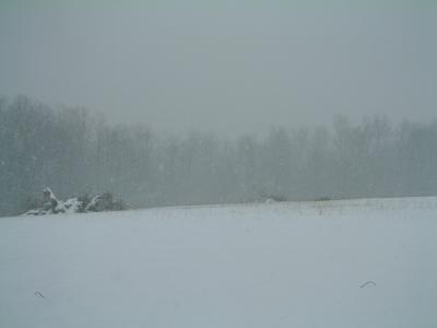 5 inches so far -- 3 more yet to come