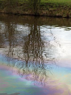 Oily reflection
