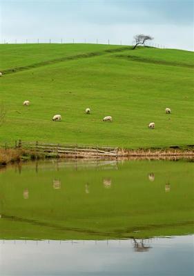 West Marton