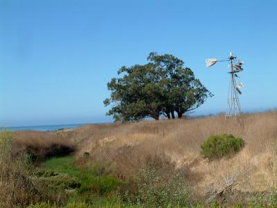 coastalwindmill.jpg