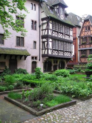 Herb garden with houses.JPG