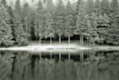 Ledcrieff Loch.
