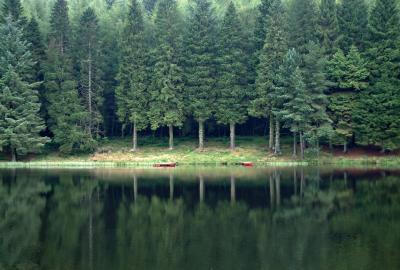 Ledcrieff Loch.