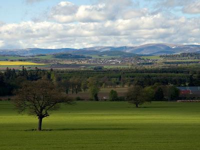 206 View To The Angus Glens.