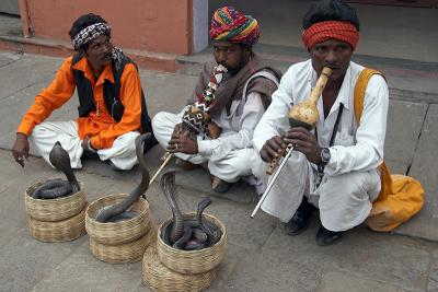 Snake Charmers
