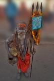 Sadu