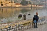 Elephant Bath near the Amber Fort