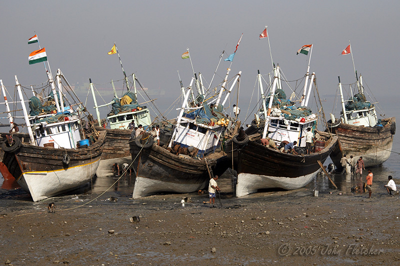 Low Tide Maintenace