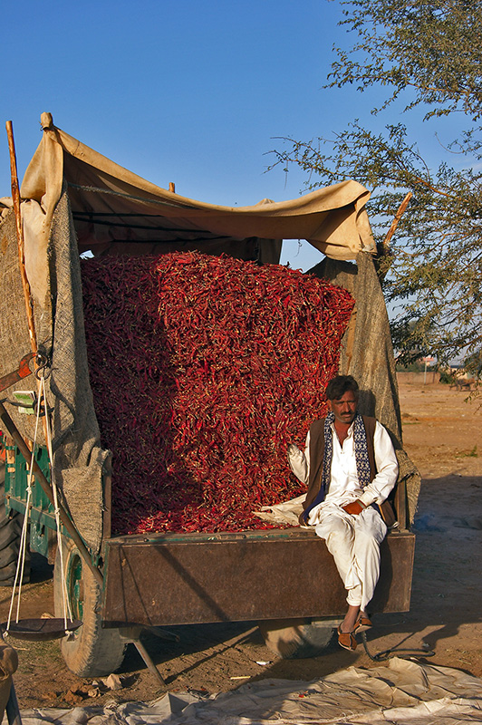 Chili Pepper Vendor