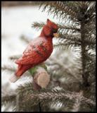 Suburbanwildlife2