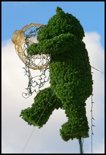 Hedgebear