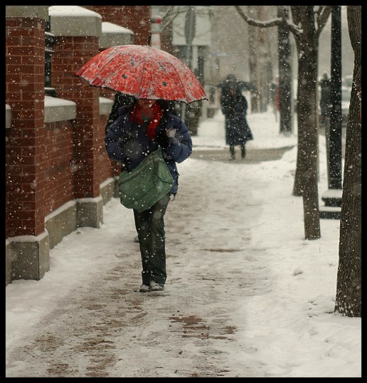 Umbrella