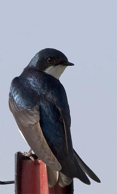 IMG_5448.jpg
