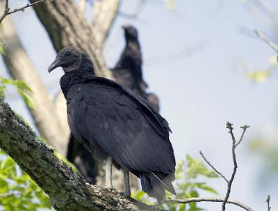 IMG_5513.jpg