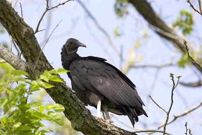IMG_5491.jpg