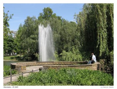 Warrmer Damm - park w centrum Wiesbaden