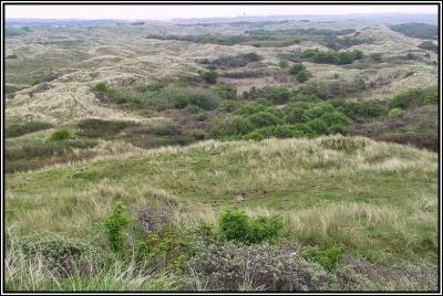 East side Ameland