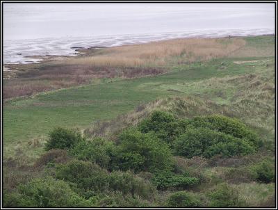 East side (Wadden Sea view)