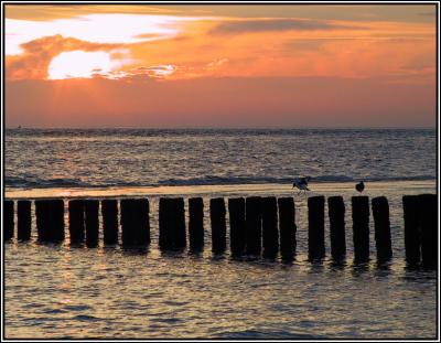 Sunset-I