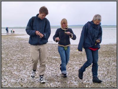 Shell Island