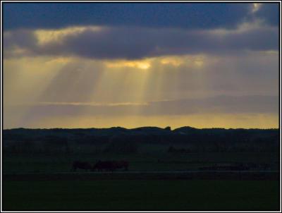 Ameland 2005