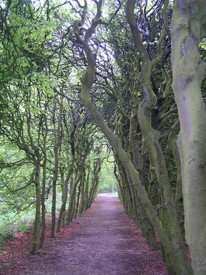 de Haag van binnen