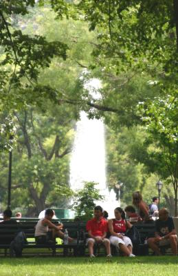 Summer Park Enjoyment