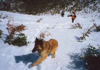 anotherskifan