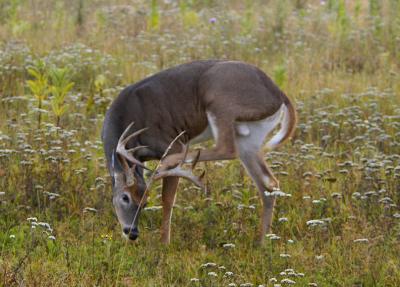 DSC_6420.jpg