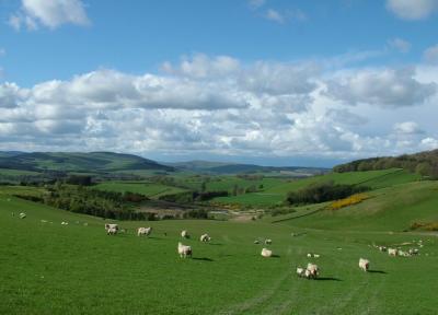 The Soft Rolling Hills of the Borders.jpg