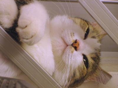 dozing off....