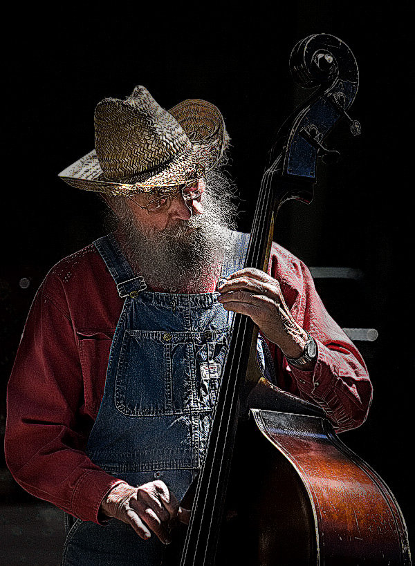Draganized Bass Player