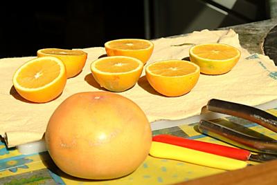 DSCF4089.jpg