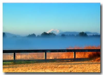 Mt. Rainier at 6:30A (Marymoor Park)