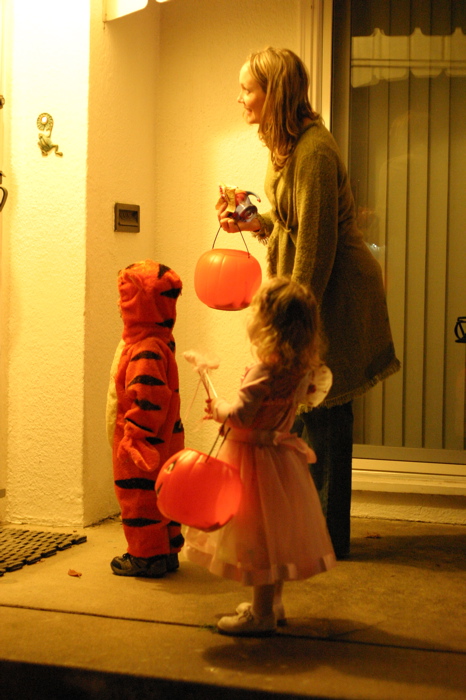 IMG_3884.jpg