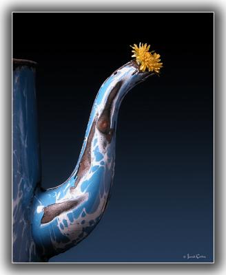 u18/jarrell/medium/15479455.flowerandpotongraduated.jpg