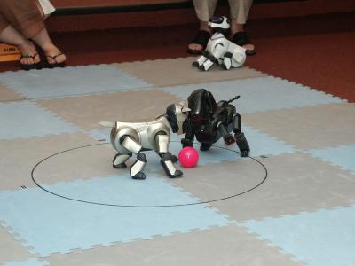 Pink ball sumo contest