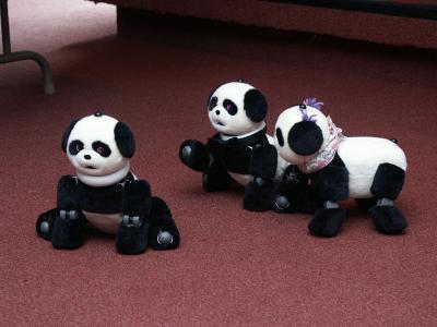 Panda-monium