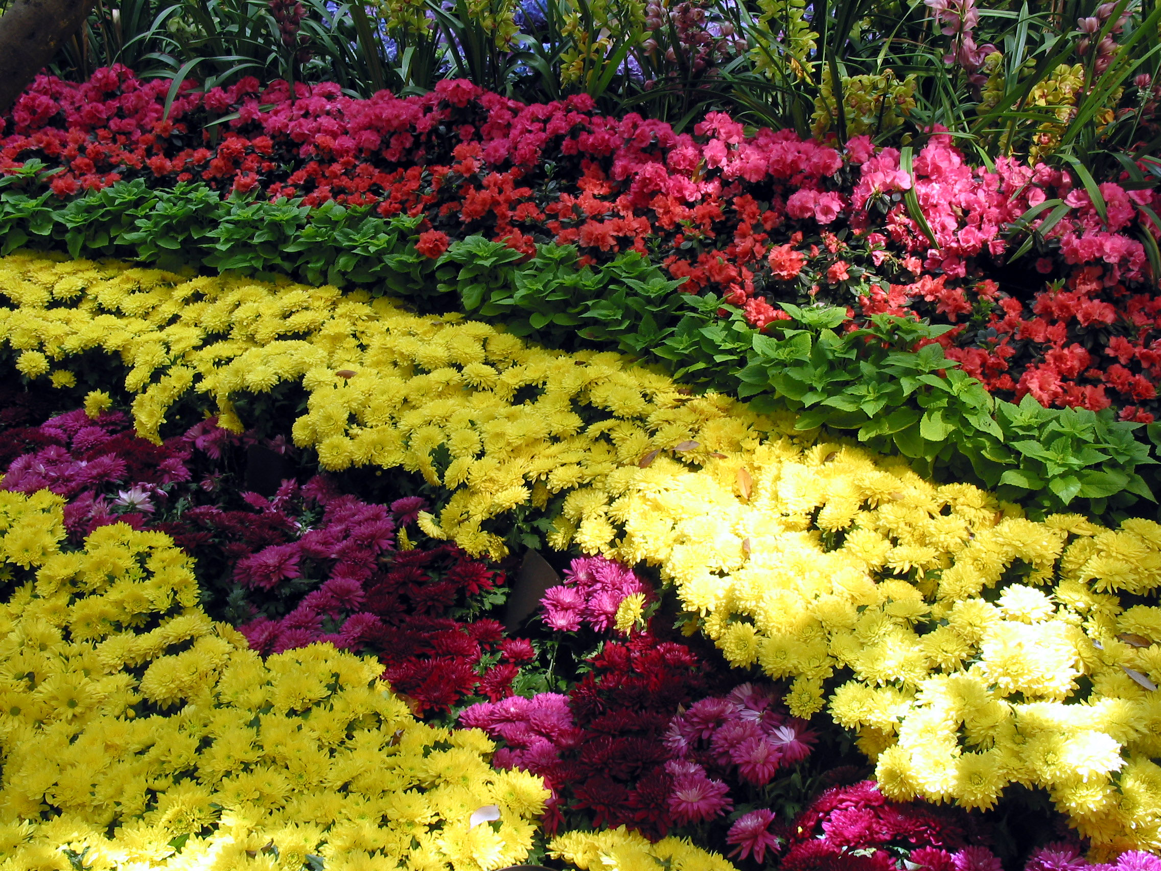 Wynn Conservatory 2