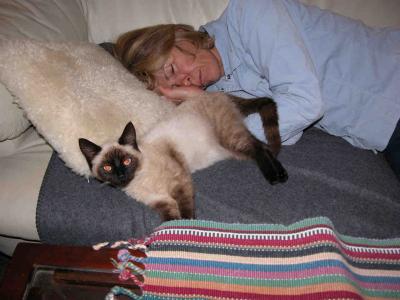 cat-napper catnapping with Baja Kitty