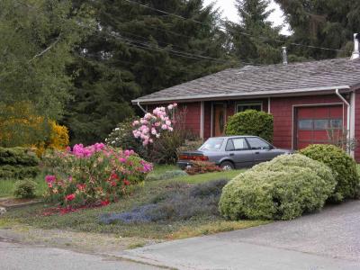 Front of the house in bloom