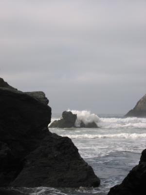 113-1385_IMG.JPG
