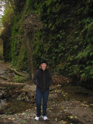 Hiking Fern Canyon
