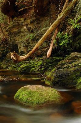 Hunter Creek As.jpg