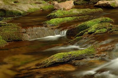 Hunter Creek Bs.jpg