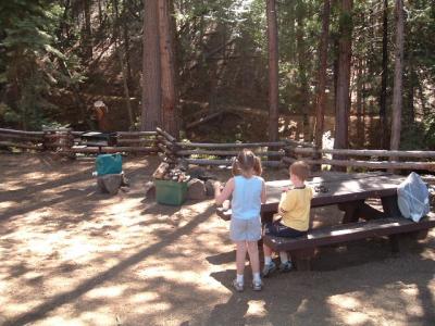 'Rocky' campground right next to the creek.