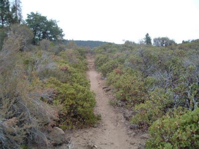 The fishing trail along hat creek made for a very exciting mountain bike ride.
