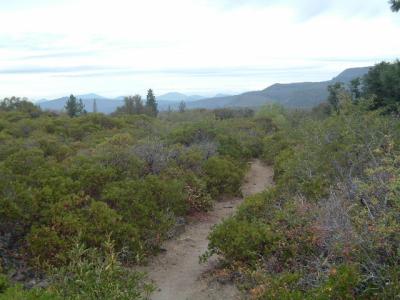 The trail seems to wind on forever into the Great Basin desert of Nevada.