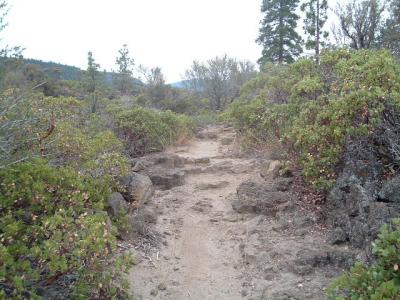 Since this seems to be an old fishing trail in a secluded part of Northern California I believe I may have been the first person to mountain bike it!